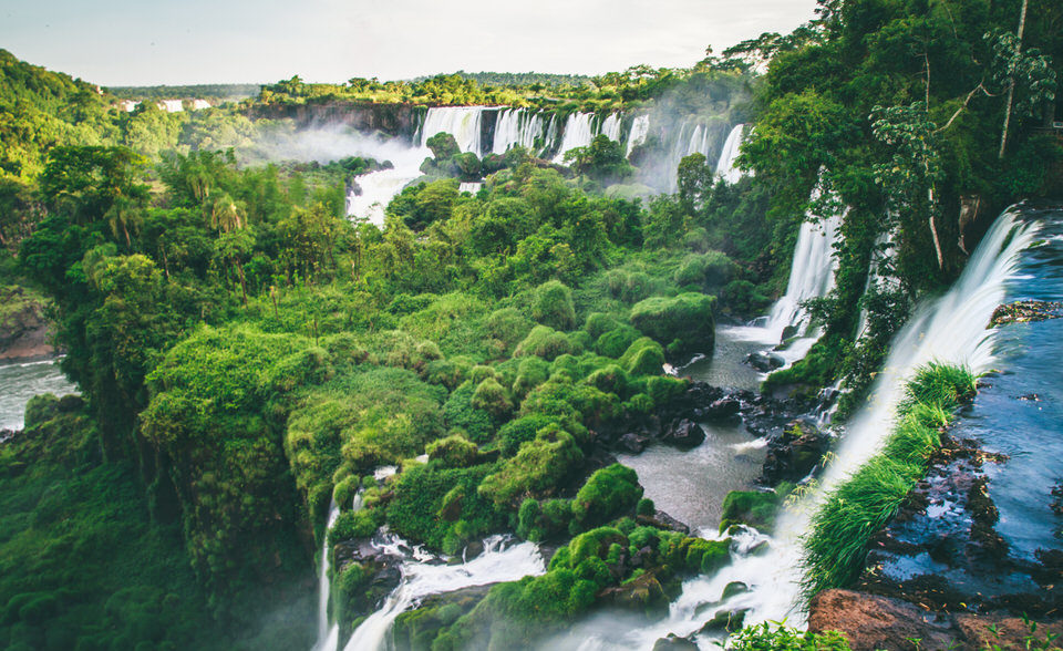 Treetops and Iguaz&uacute; Falls waterfalls