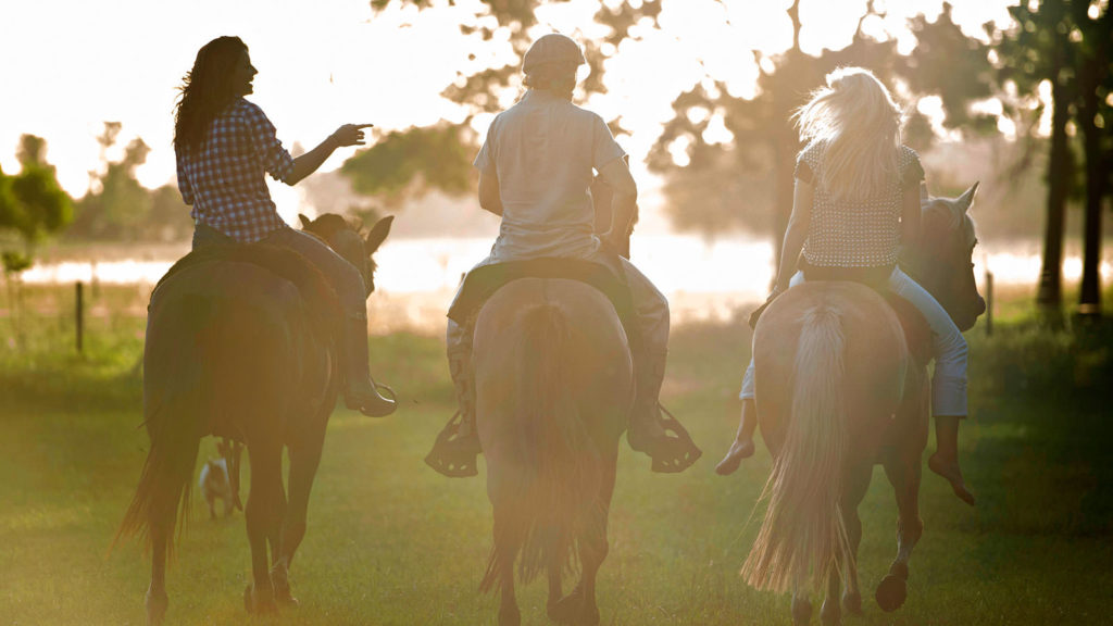 Día de Estancia: Fiesta Gaucha