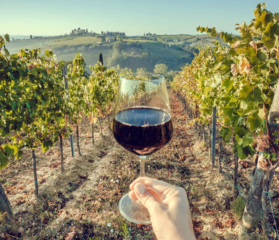 A glass of wine in Mendoza