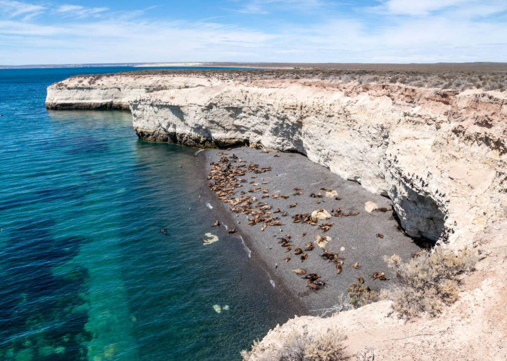 Puerto Madryn - Peninsula Valdes