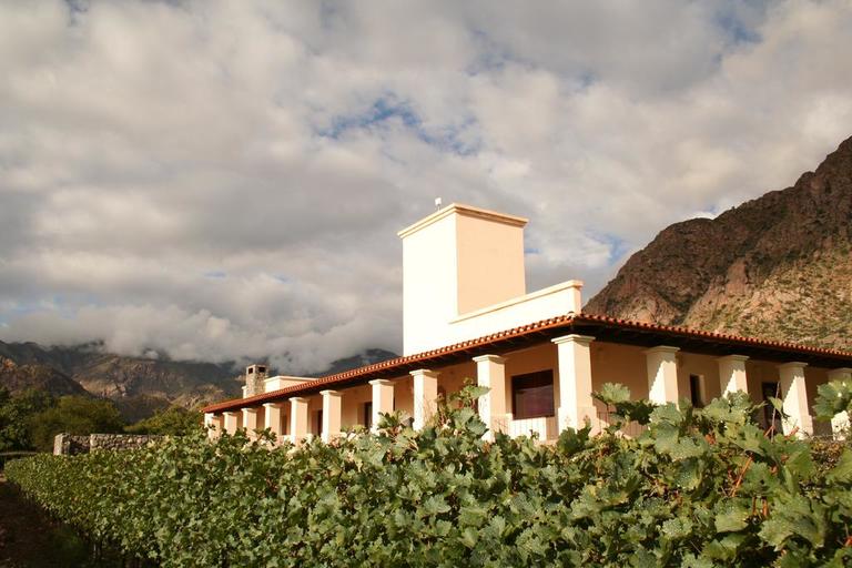 Excursión a Cafayate