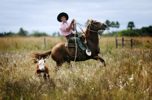 Día de Estancia: Fiesta Gaucha