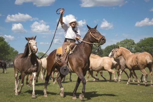 Buenos Aires - Estancia - Gaucho