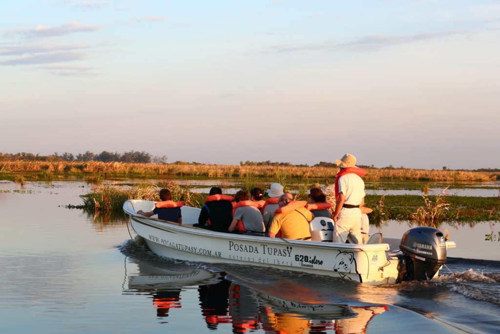 Ibera-wetlands