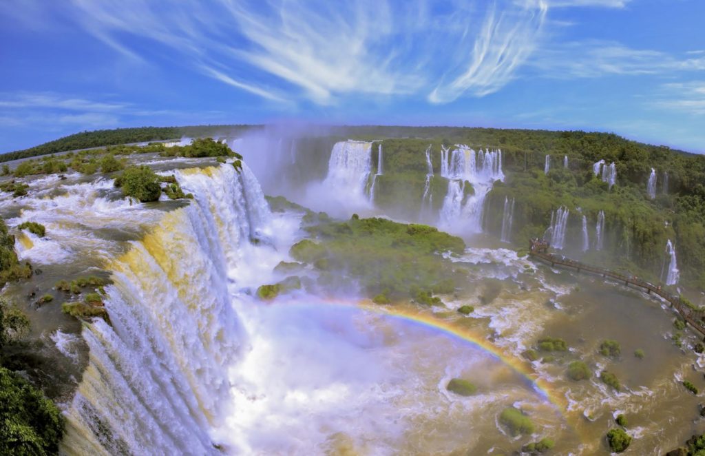 Iguazu Falls - Wildlife