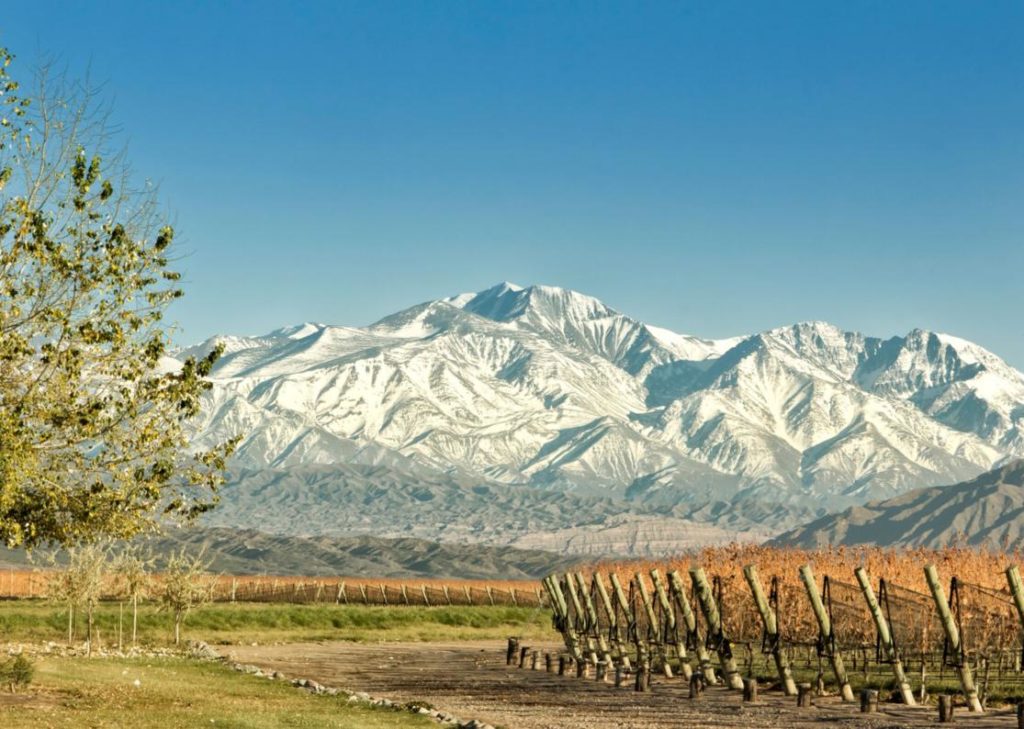 Mendoza - Wine tour