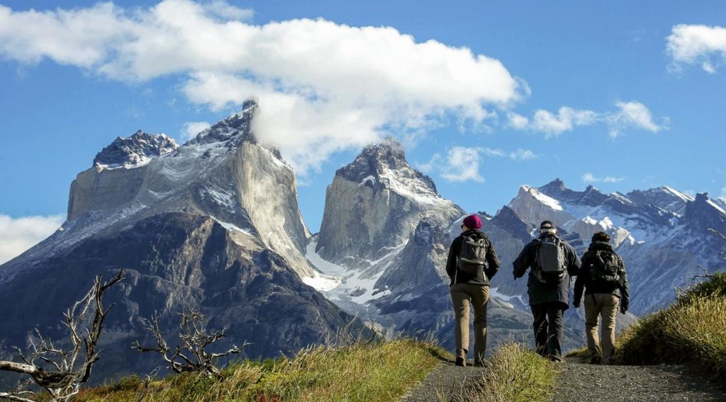 Torres del Paine Day Tour
