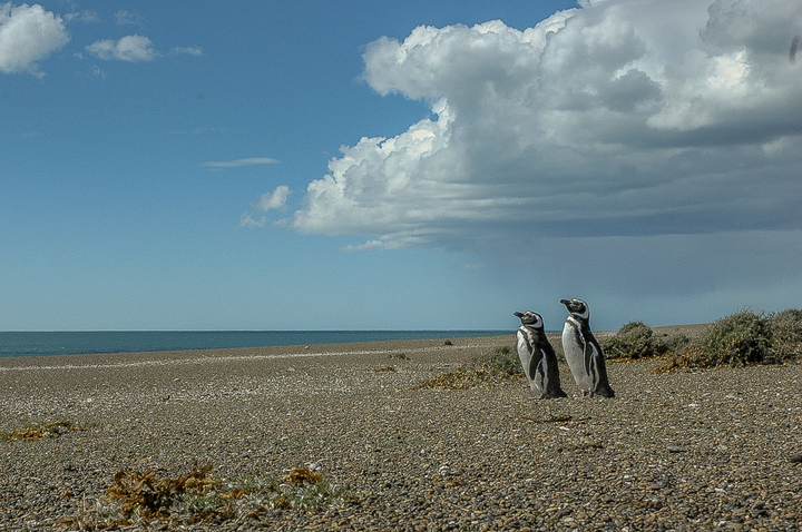 A Guide to Uncrowded Destinations in Argentina