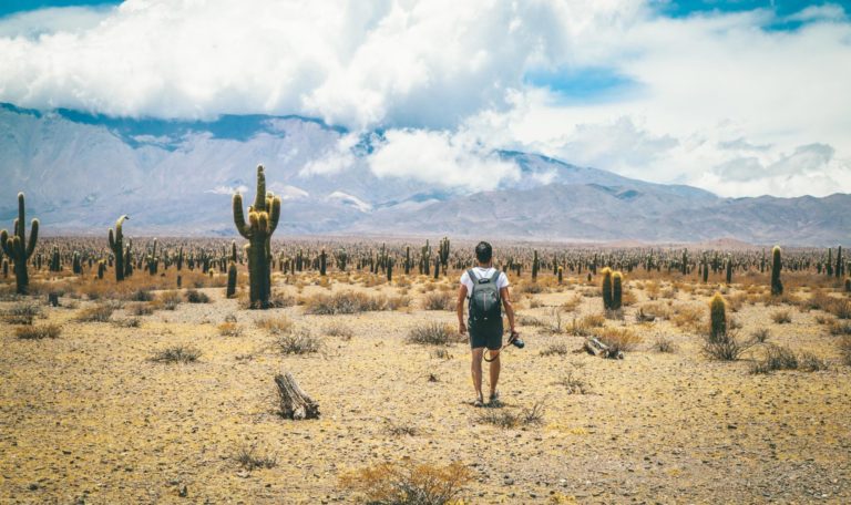 salta-cultural-trip (17)
