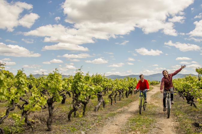 Things to do in Chile: Santiago de Chile and 3 wineries to visit