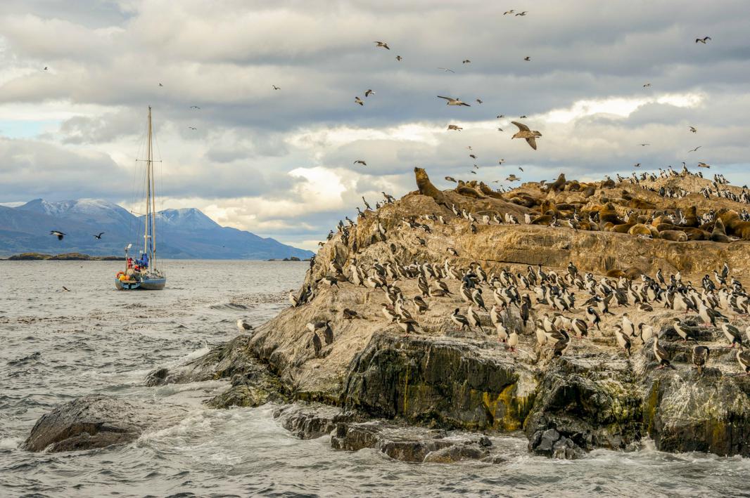 Ushuaia - Beagle Channel