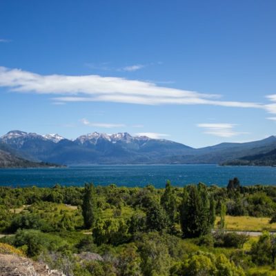 alerce-andes-chile Nature and Lakes in Chile