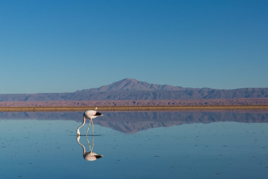 Cejar Lagoon