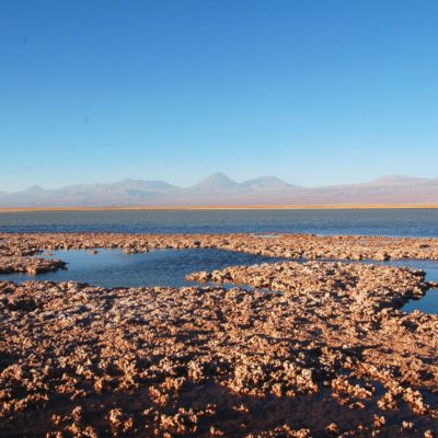 cejar-lagoon-atacama-desert-chile (3) cejar-lagoon-atacama-desert-chile (3)