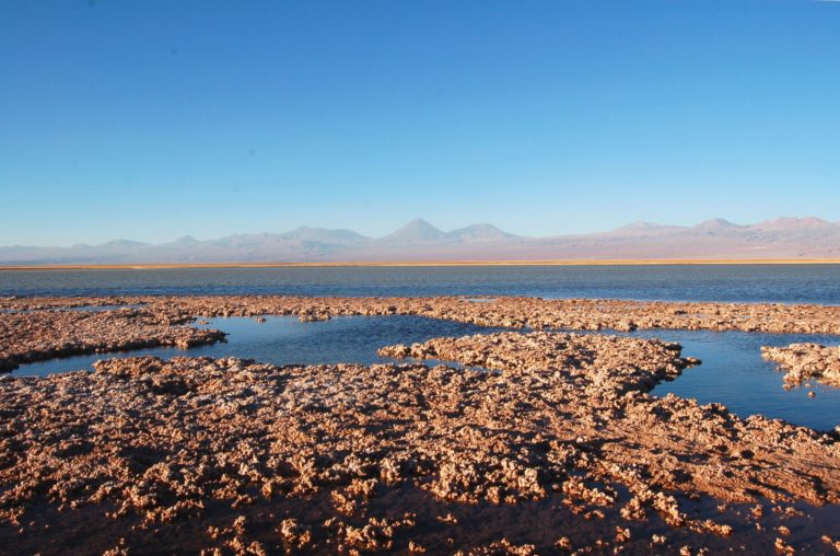 cejar-lagoon-atacama-desert-chile (3) cejar-lagoon-atacama-desert-chile (3)