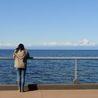 Llanquihue, Frutillar & Puerto Octay