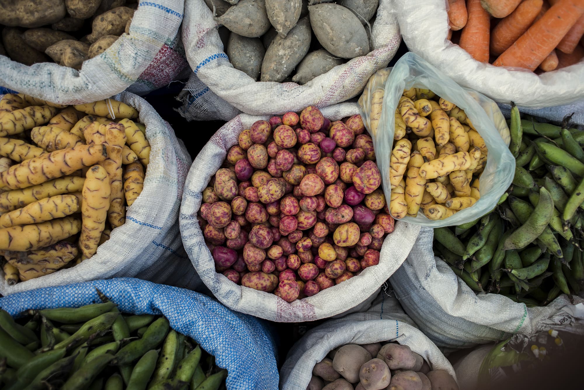 gastronomic-tour-salta