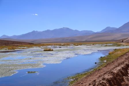 Tatio Geysers & Machuca