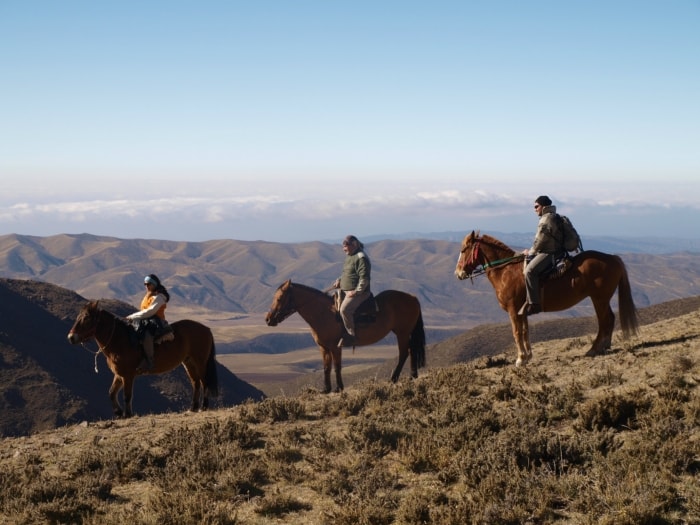things to do in mendoza