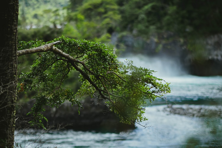 Excursión Volcán Osorno & Saltos de Petrohué