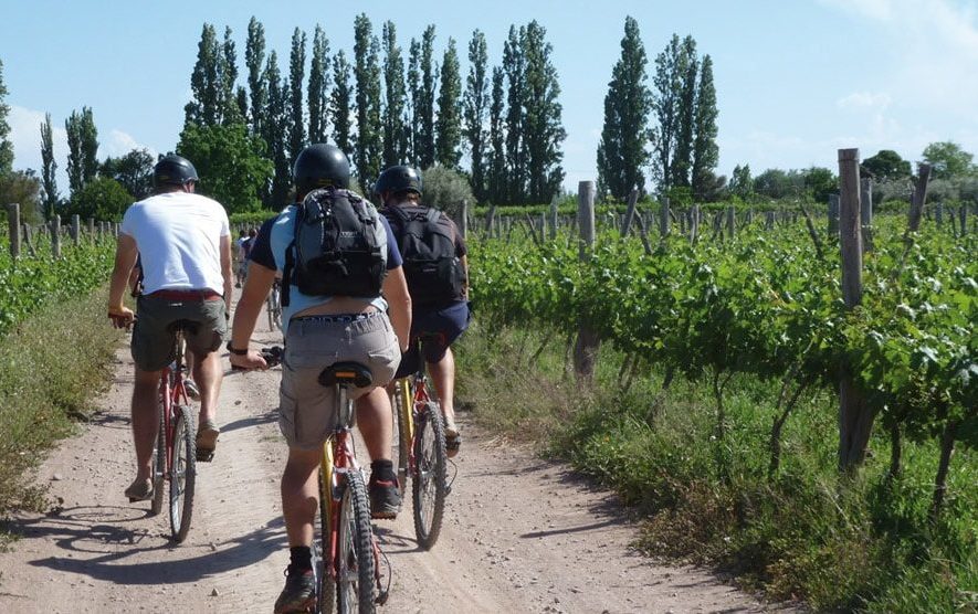 Mendoza - Bike Wine Tour