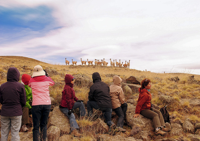 Experiencia Safari