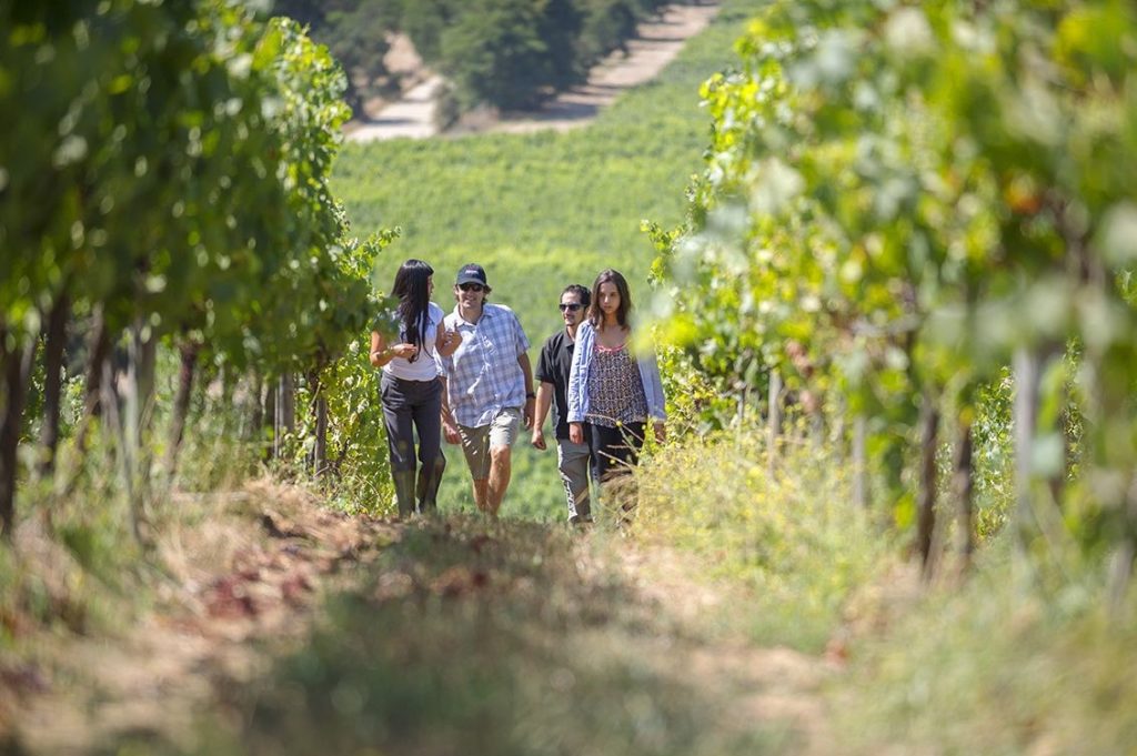 Wineries of Maipo Valley Tour