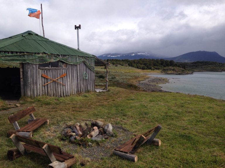 Gable-Island-Penguin-Rookery-in-Harberton-Ranch (1)