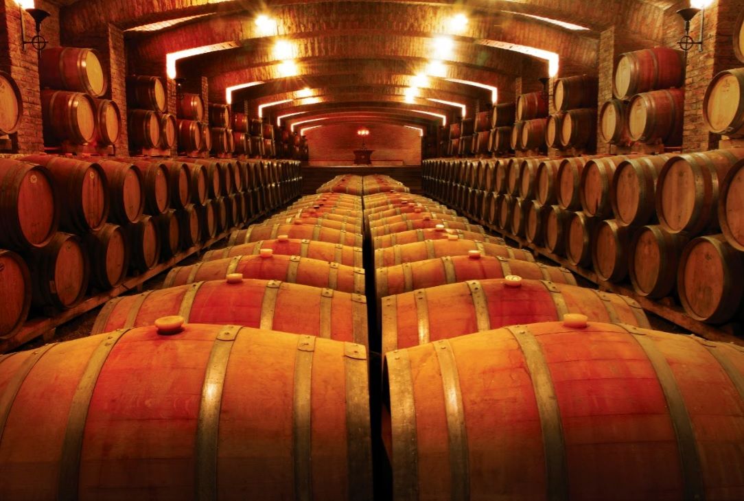Undurraga Winery Tour