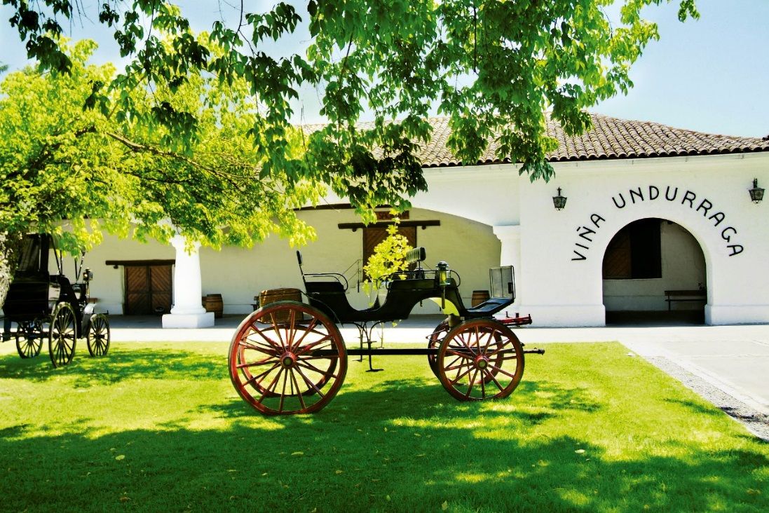 Undurraga Winery Tour