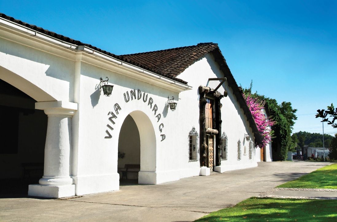 Undurraga Winery Tour