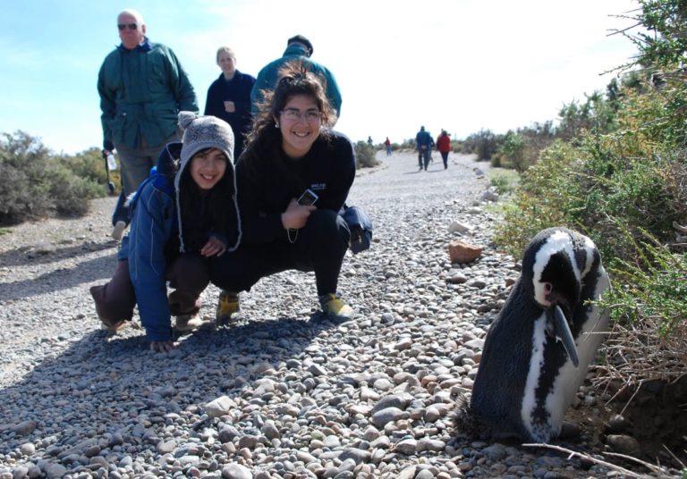 People walking among penguins in Punta Tombo Península Valdés Puerto Madryn.