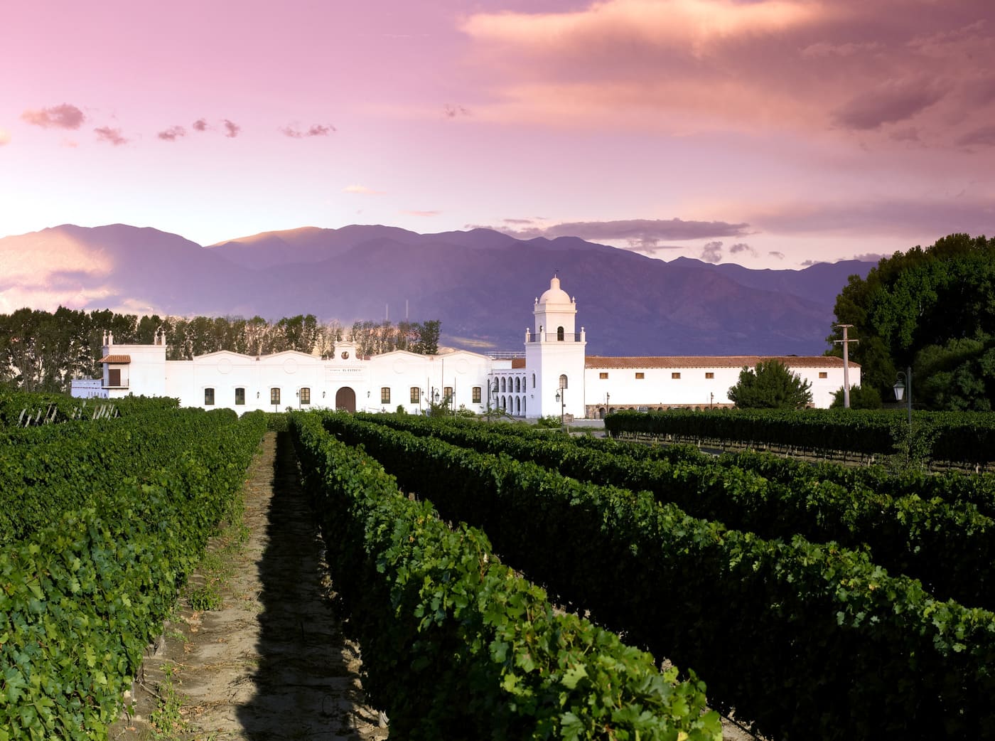 Ruta del Vino de Altura