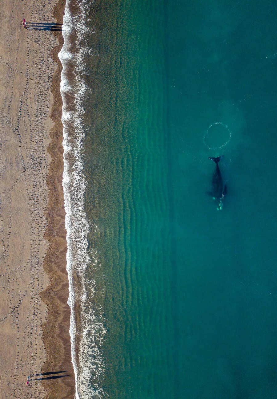 Wildlife and nature