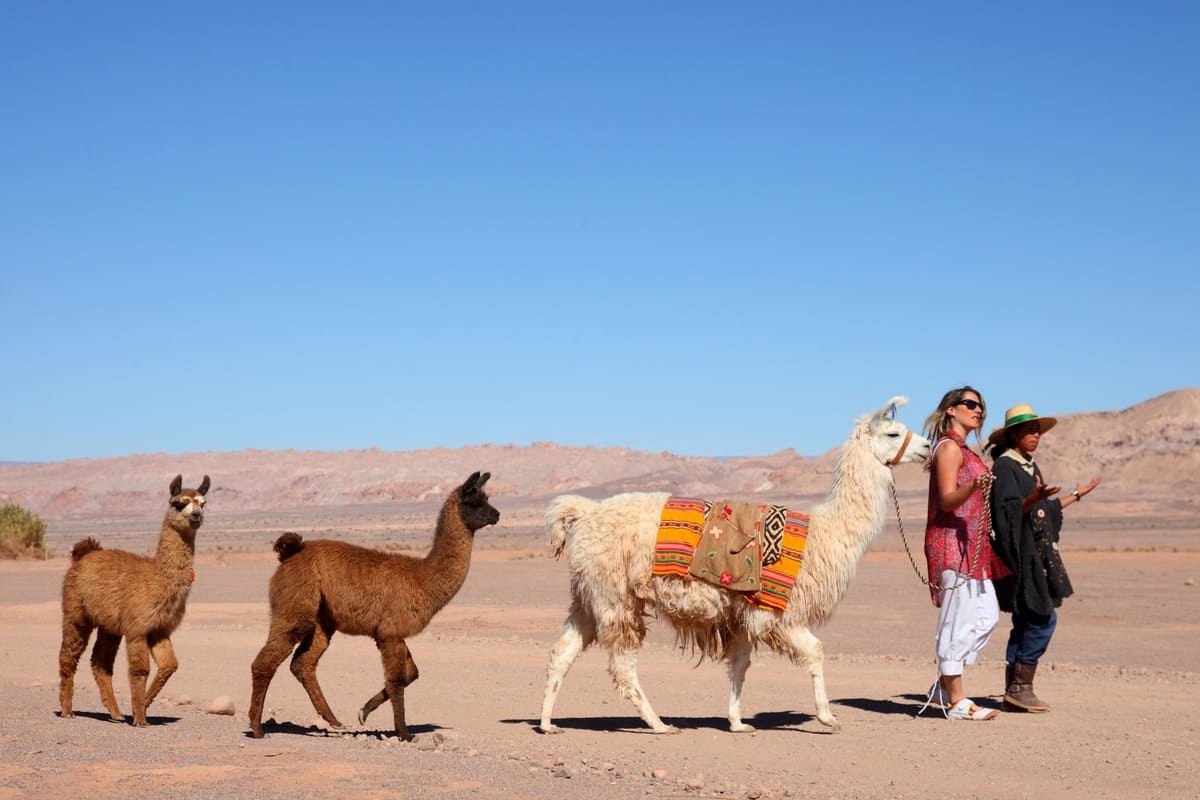 Sustainable tours to discover Argentina