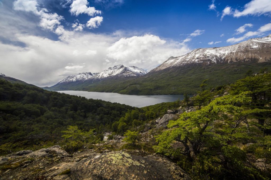 Lago del Desierto Premium Excursion (Private Tour)