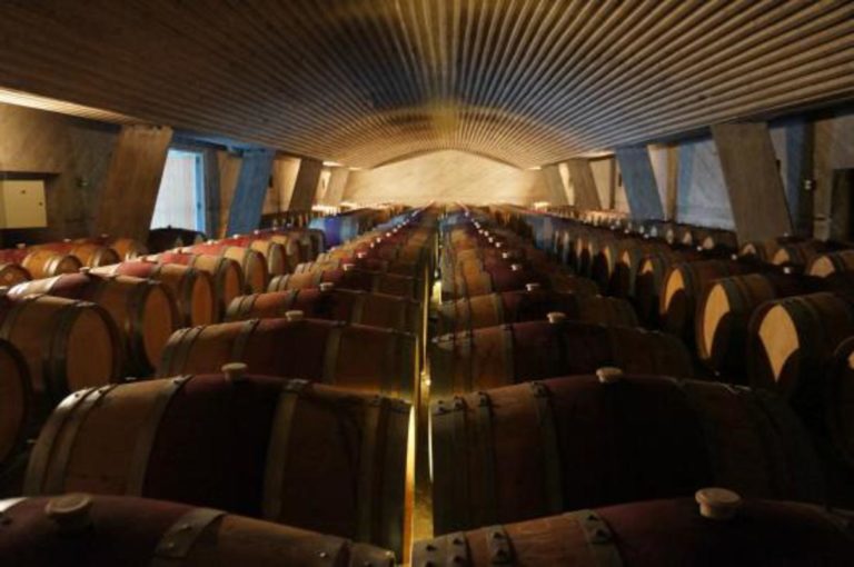 maipo-valley-wine-tour Maipo Wine tour in Santiago