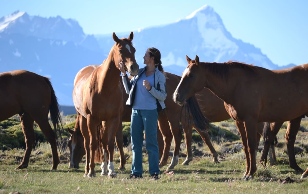 5 Best Places to Visit in Argentina