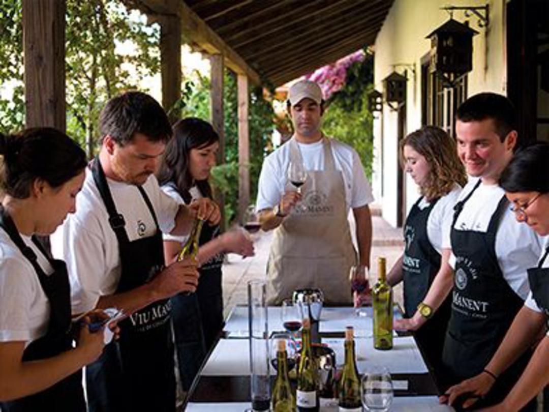Colchagua Valley Wineries