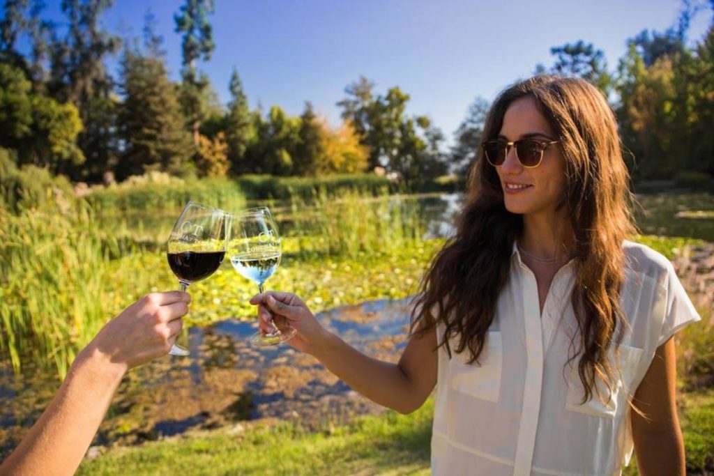Wineries of Casablanca Valley