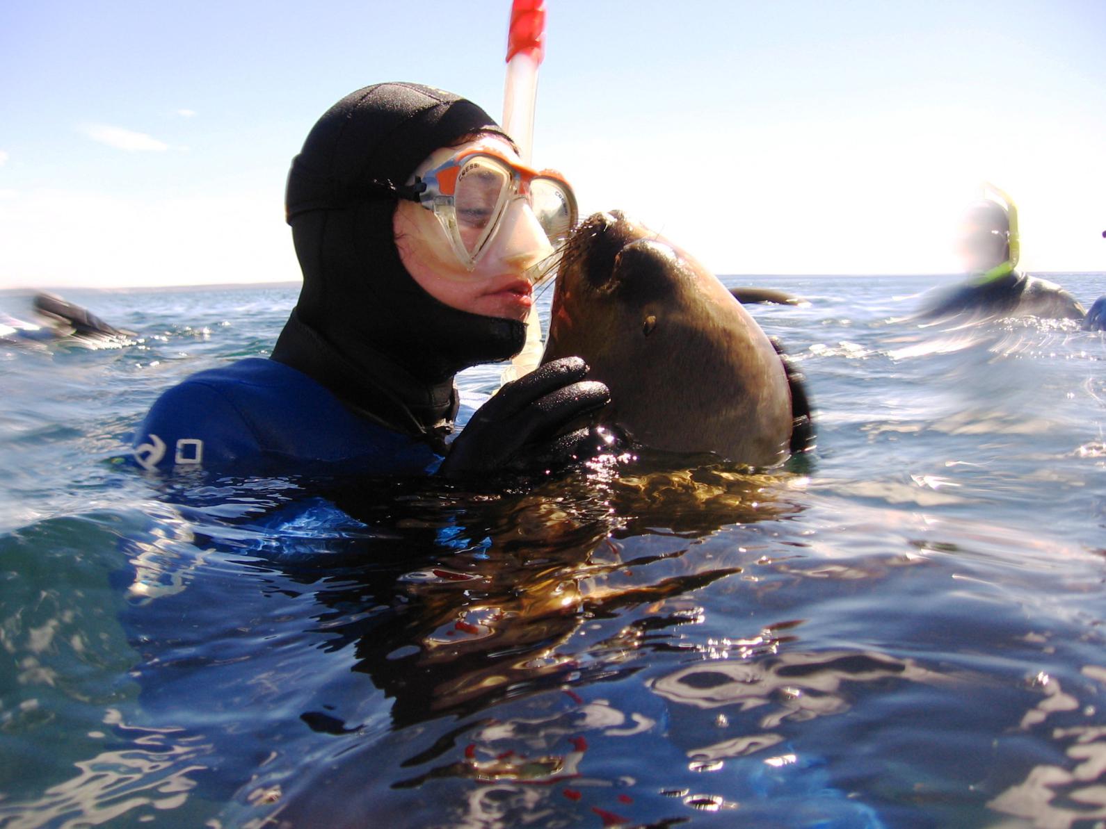 Snorkel con Lobos Marinos