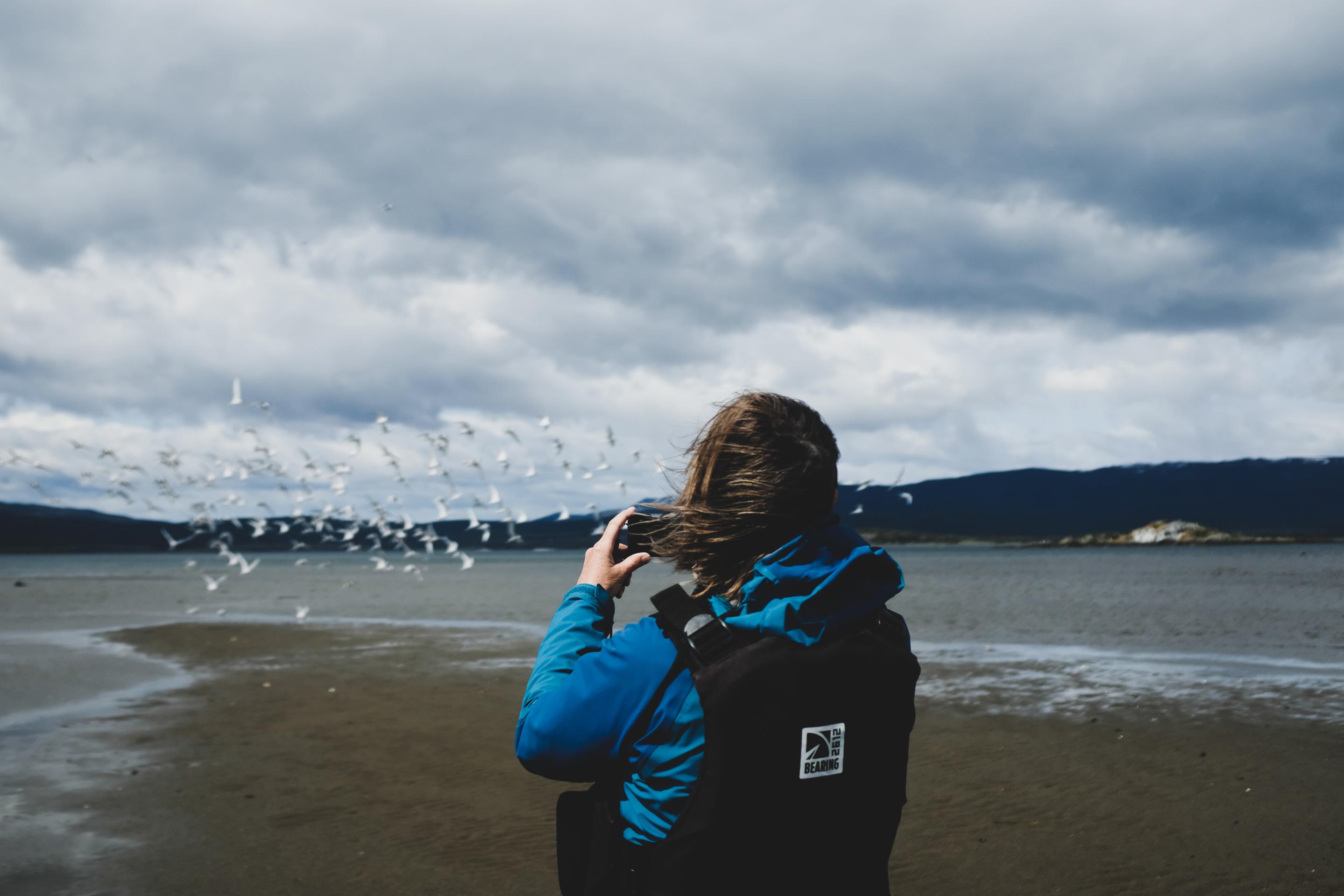 Isla Gable, Colonia de Pingüinos y Canotaje