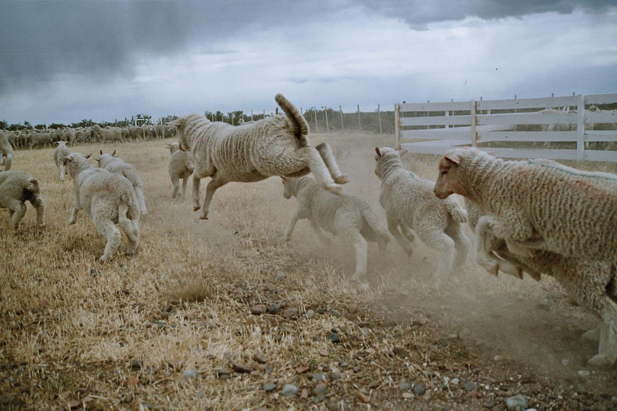 an-estancia-in-Patagonia
