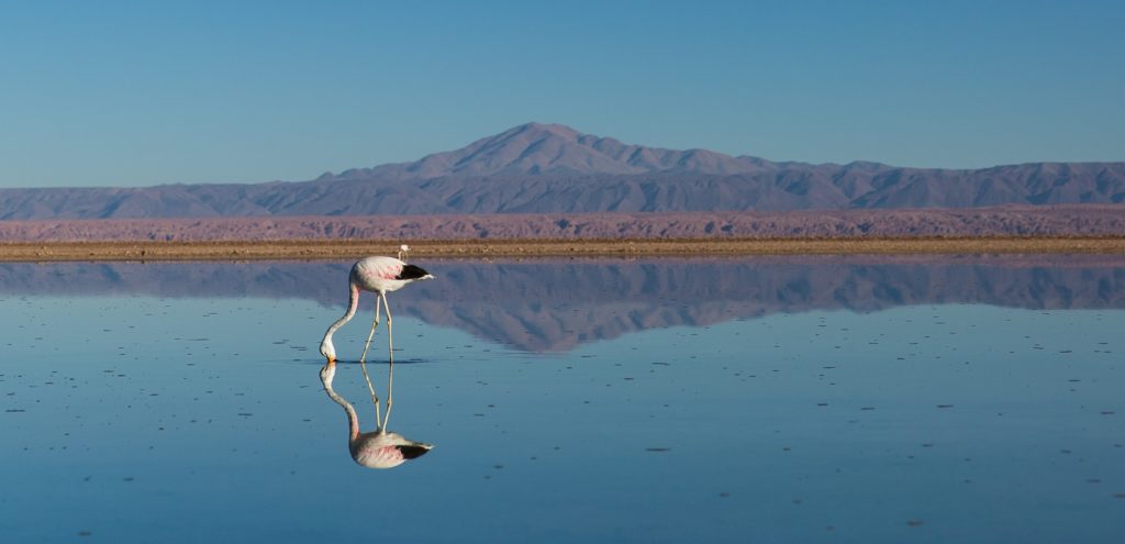 Chile