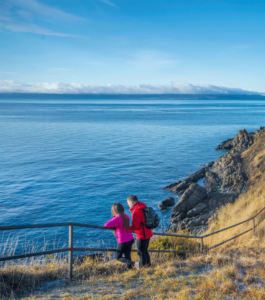 Punta Arenas