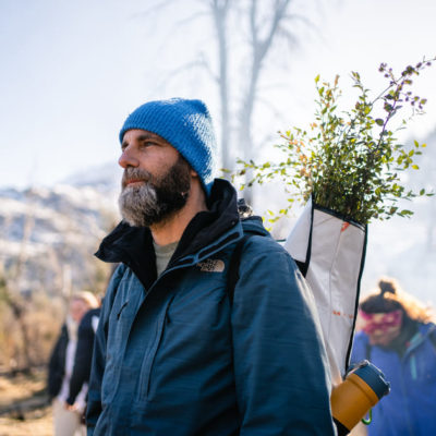 Sustainable Travel Experience to Restore Patagonian Forest