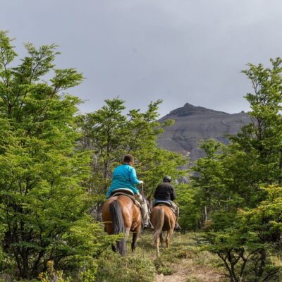 Horse-Riding-in-Paine-Hill