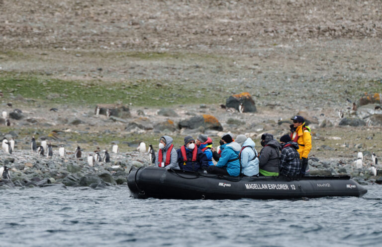 Navigating between penguins on a Zodiac boat